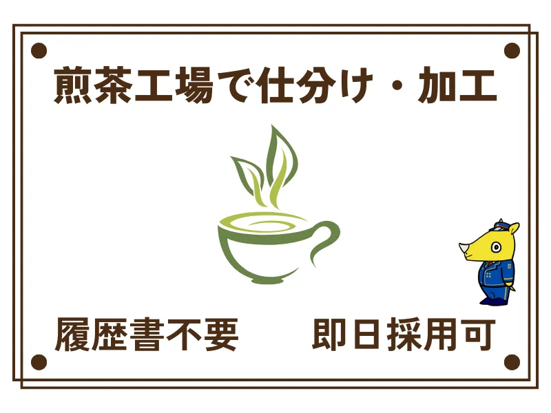 鹿児島茶の製造スタッフ