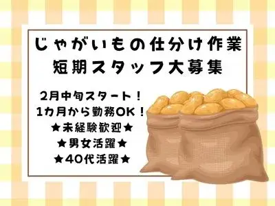 最短当日給与振り込み　じゃがいもの仕分けスタッフ