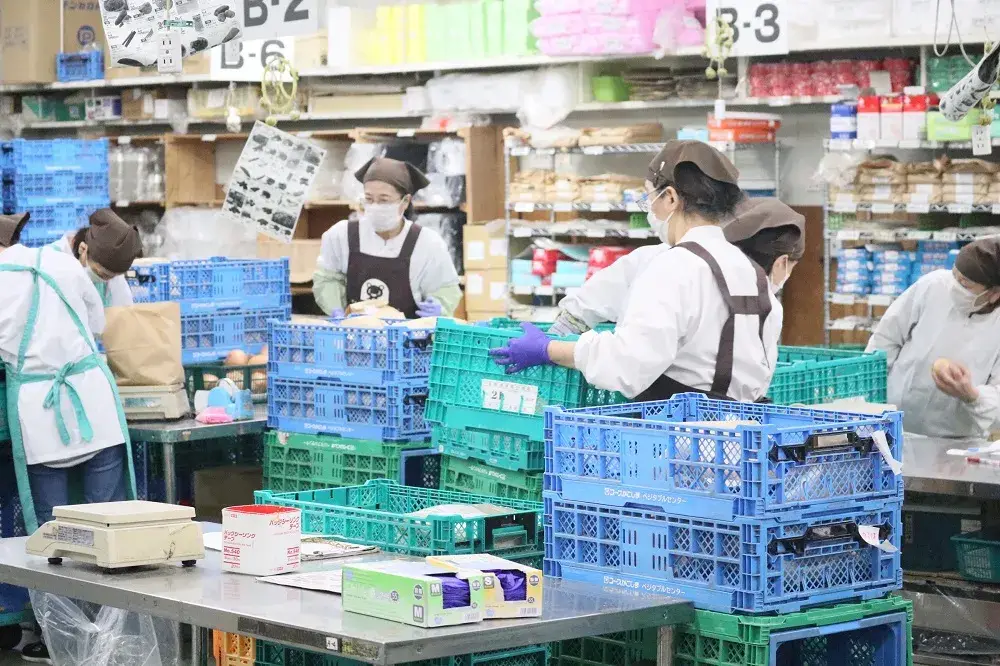 事務・野菜・果物の袋詰めや加工作業