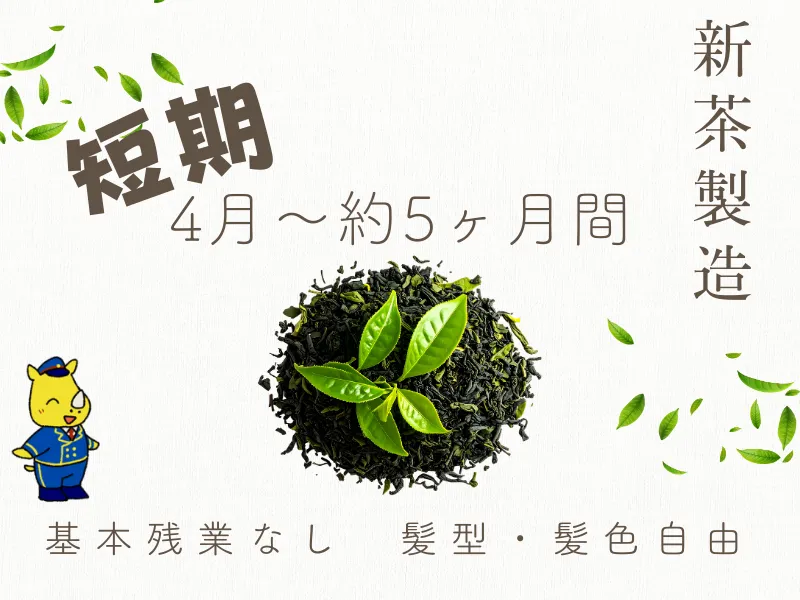 短期 未経験歓迎/日払い可 お茶工場内で茶葉加工･出荷･配送業務