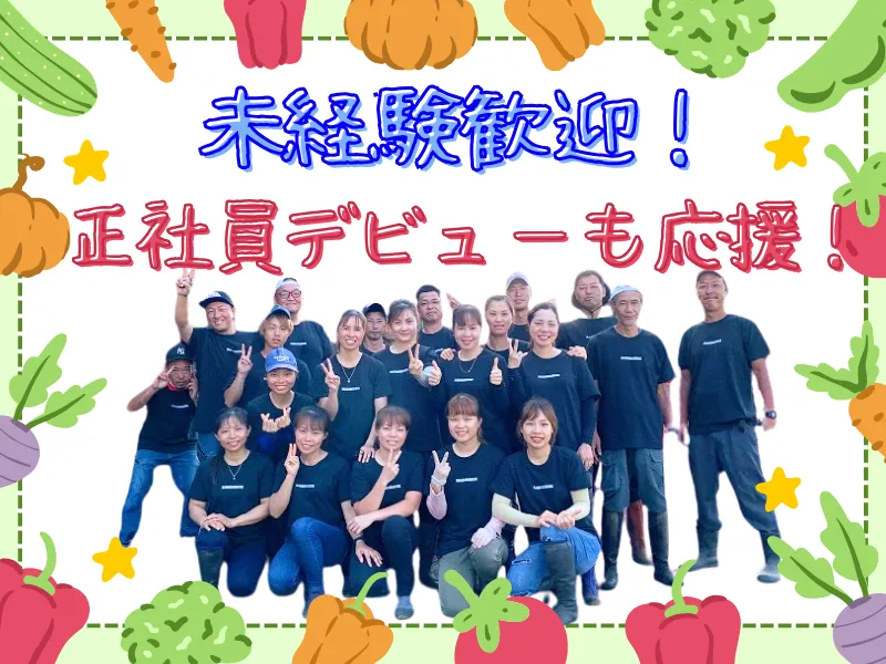 野菜の洗浄・選別・加工