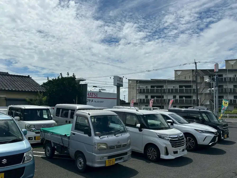 画像8