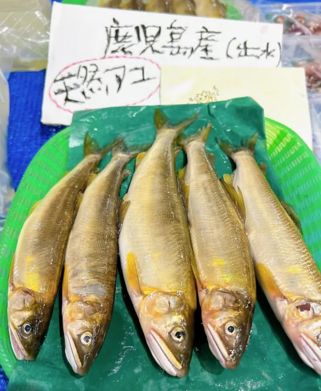 画像5
