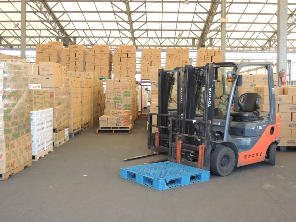 野菜の積込補助作業