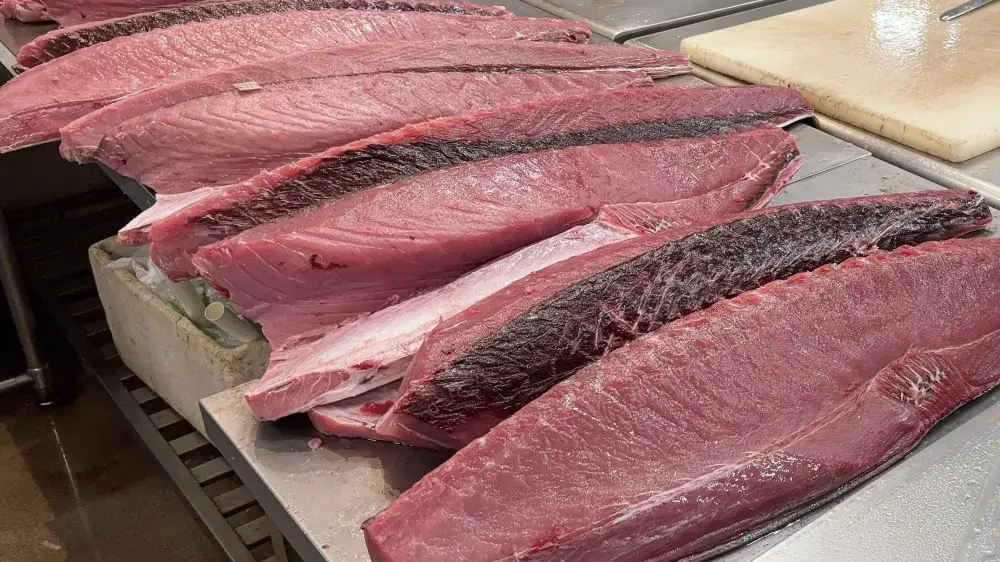 マグロの梱包作業
