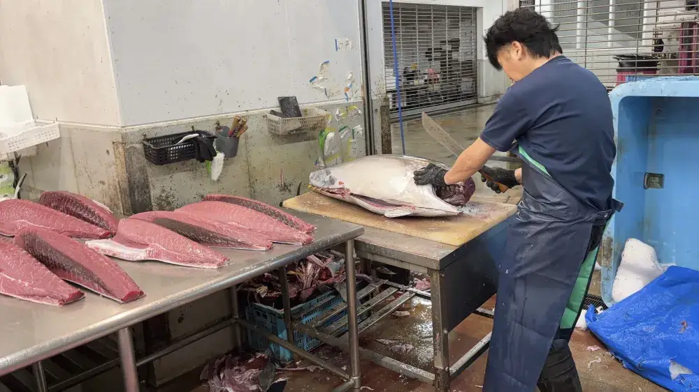 マグロのカット作業