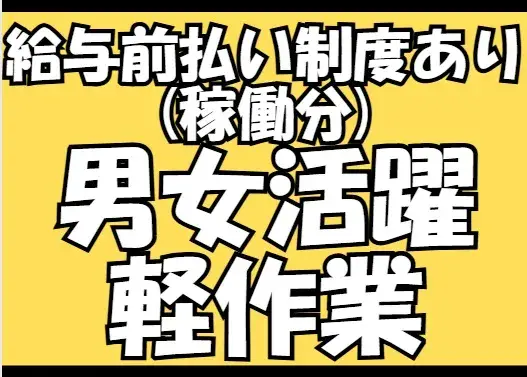商品のピッキング及び検品