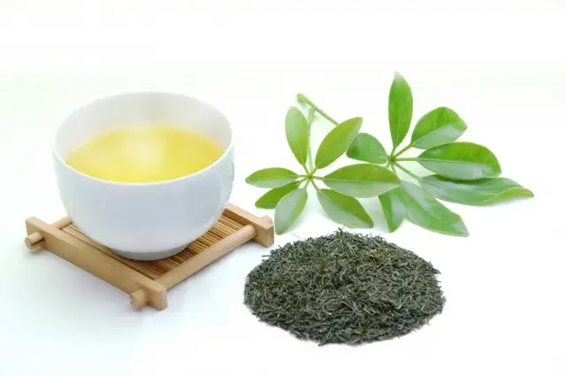 高時給1200円 鹿児島茶の製造